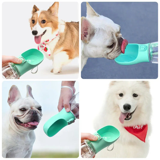 Gourde portable pour chien WalkFresh 300ml coloris vert et turquoise en situation de balade