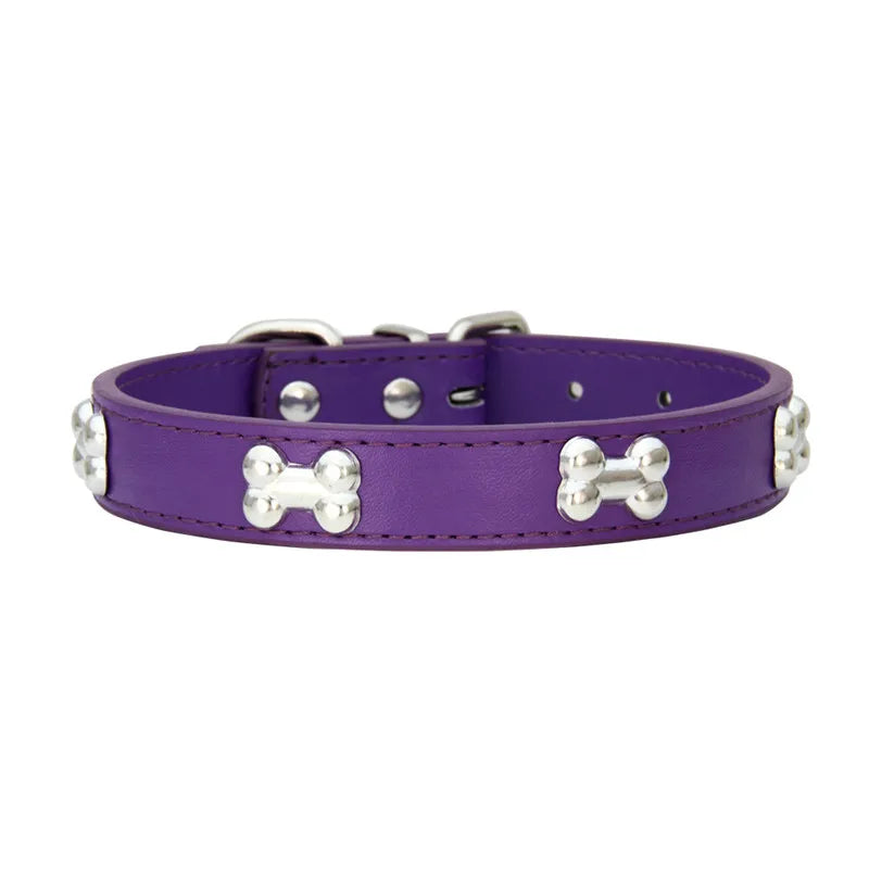 pour chien de petite à grande taille .