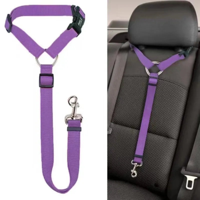 sécurité en voiture / utile en promenade .