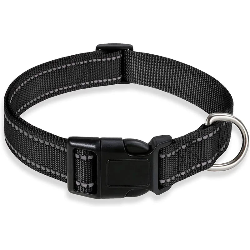 collier pour chien 