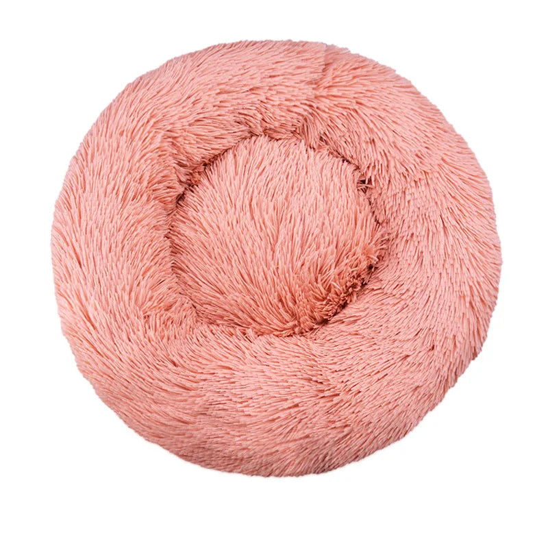 pour chien de petite à moyenne taille