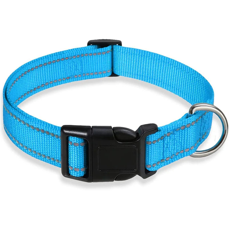 nom du collier : rebelle 