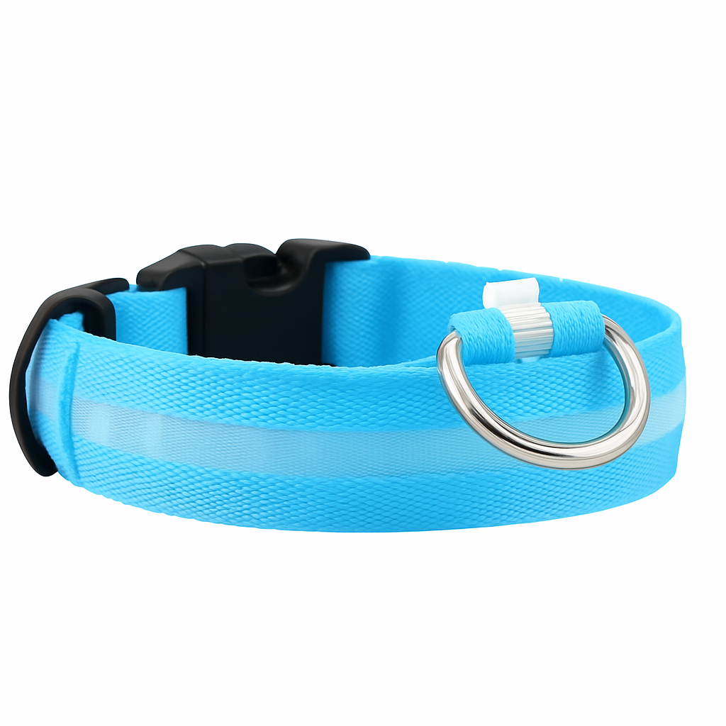 collier pour chien de petite à grande taille .